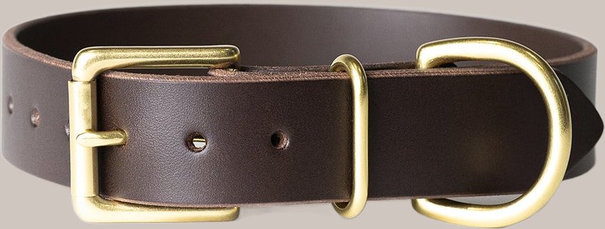 Leather Dog Collar, 1" width